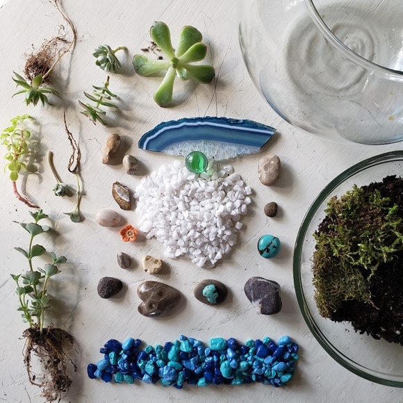 Other - Terrarium kits